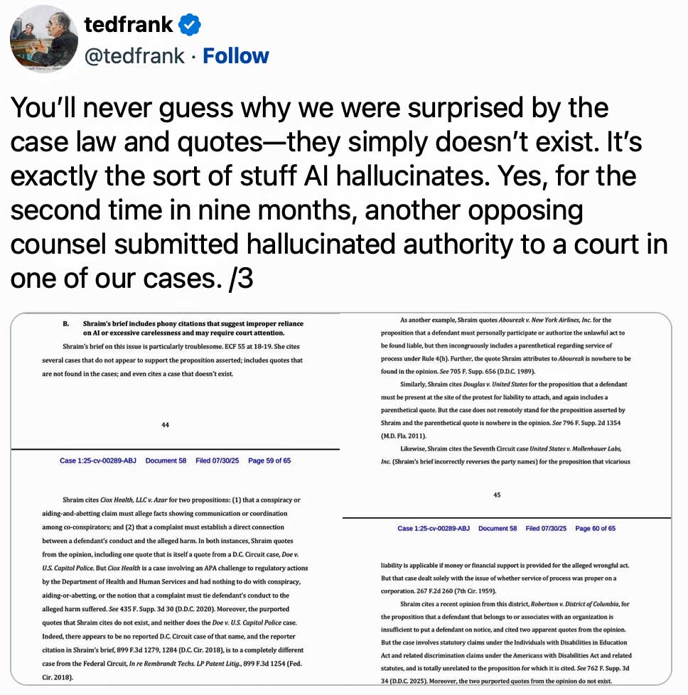 Federal judges go AI