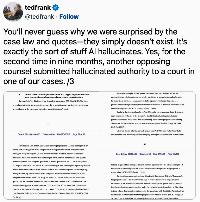 Federal judges go AI