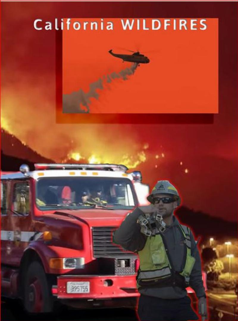 NextImg:Blue City genius: Defunding the firefighters in Los Angeles