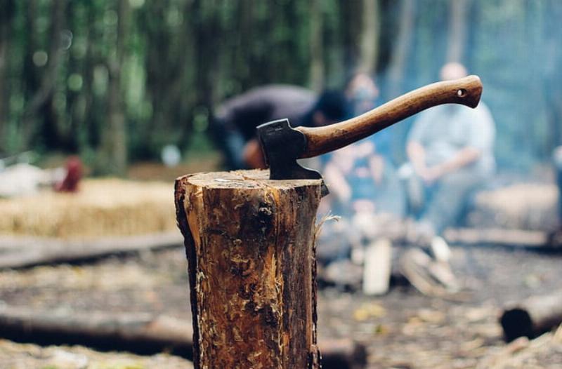 Maybe the girl with the axe should run Scotland