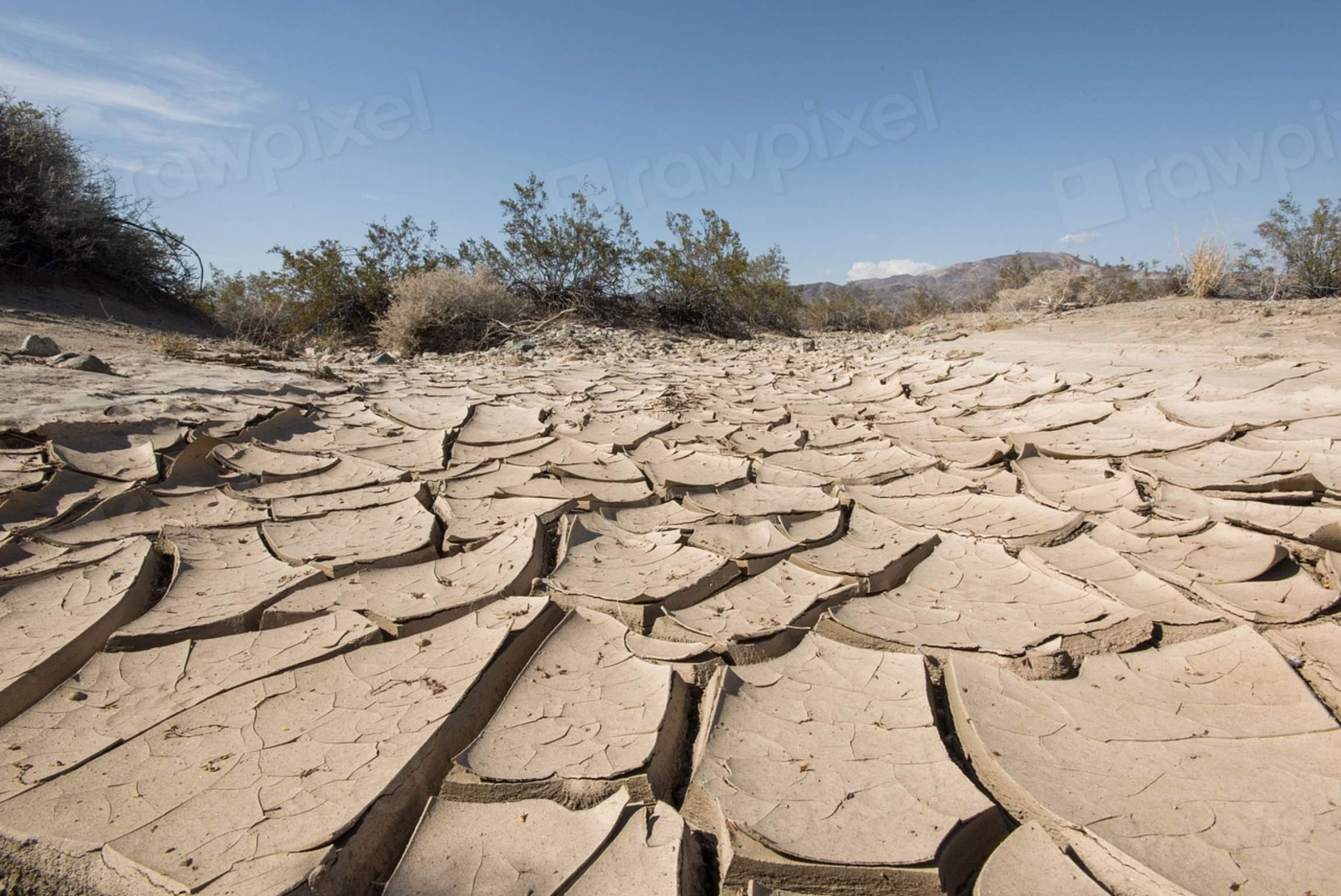Climate BS from the Wall Street Journal
