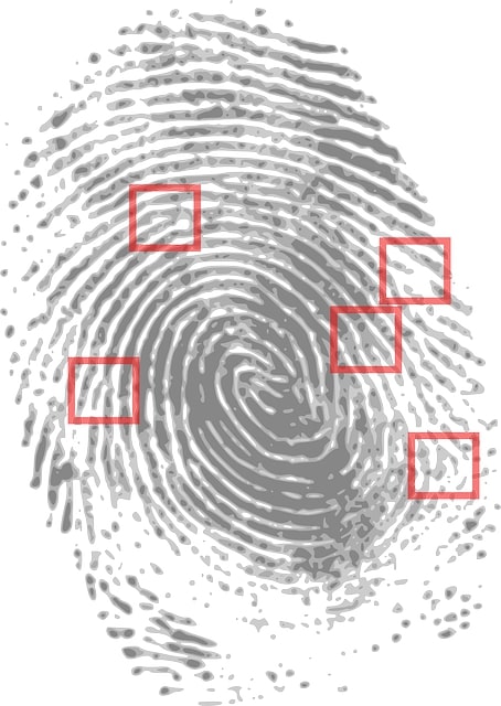 The Las Vegas Cybertruck bomber is identified
