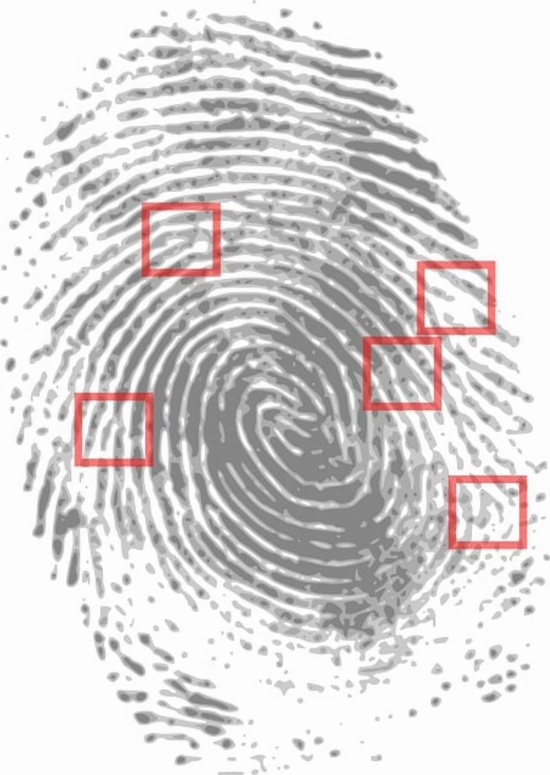 NextImg:The Las Vegas Cybertruck bomber is identified
