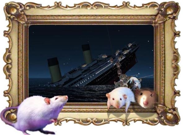 Are the rats starting to flee Joe Biden's sinking ship now?