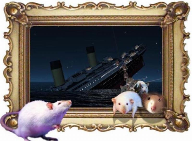NextImg:Are the rats starting to flee Joe Biden's sinking ship now?