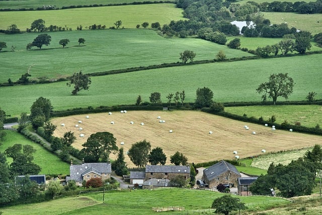 The Guardian: Greedy farmers ‘hoard’ land, but government has a new tax to solve that problem