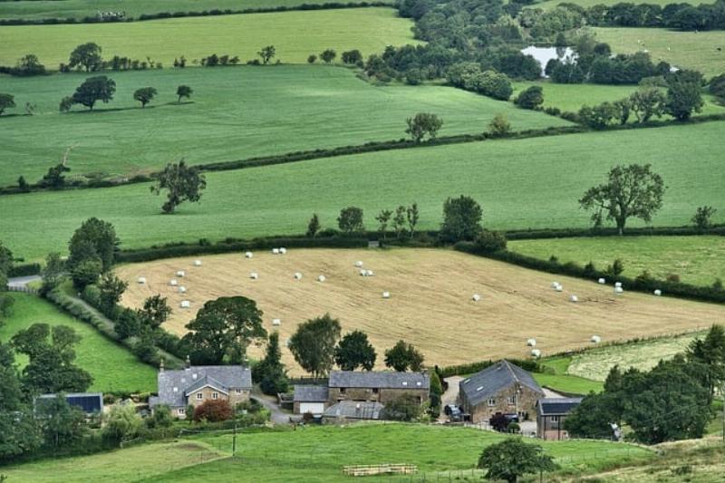 NextImg:The Guardian: Greedy farmers ‘hoard’ land, but government has a new tax to solve that problem