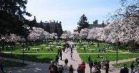 The University of Washington canceled its planned protest because it was too white