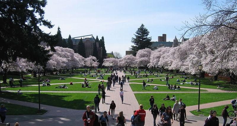 NextImg:The University of Washington canceled its planned protest because it was too white