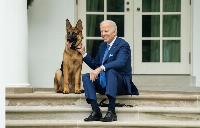 Biden watched as his German Shepherd attacked and bit up Secret Service agents