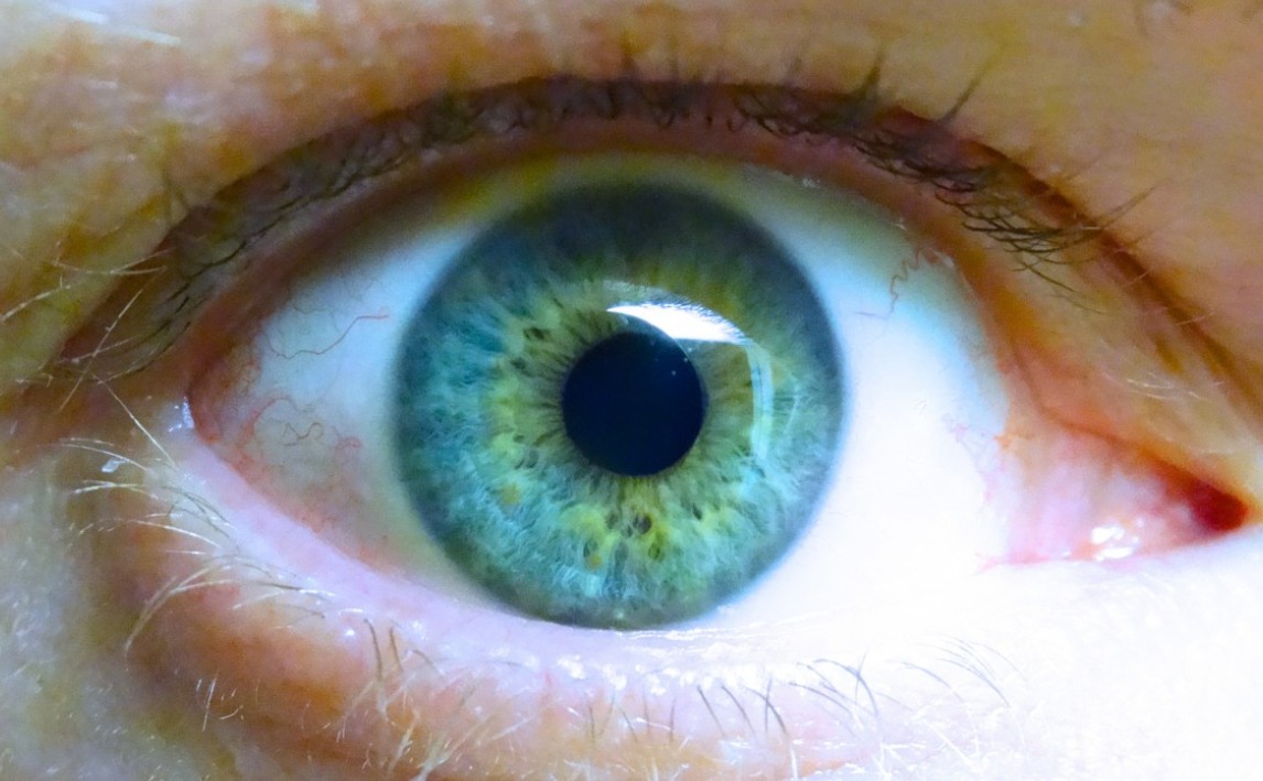 China’s AI cities are watching