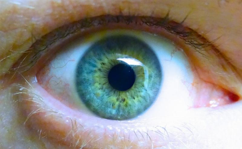 China’s AI cities are watching