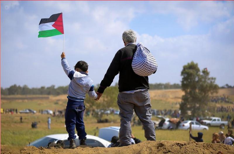 NextImg:Gaza, reimagined