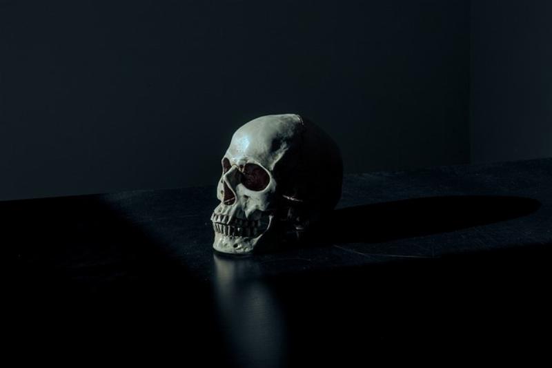 NextImg:New report: Netherlands is now euthanizing minors
