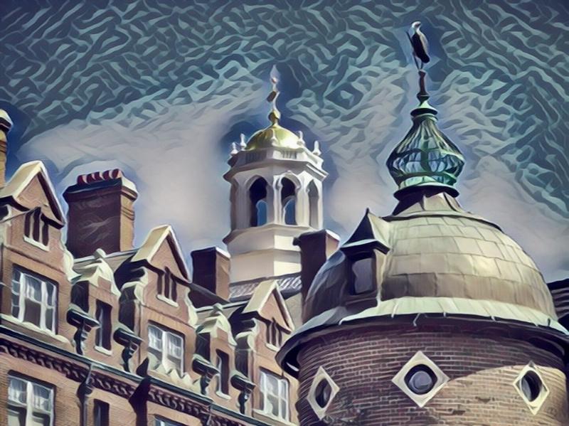 NextImg:Foreign Students and Universities’ Scams