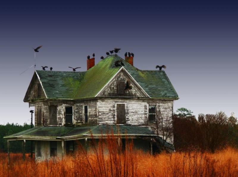 NextImg:Paranormal science: Is it time?