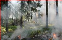 Canada's wildfires may be <em>impossible</em> to extinguish?