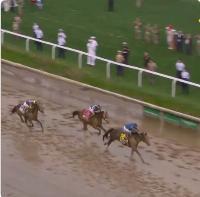 Sovereignty trumps Journalism in the human race as well as the equine race