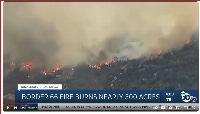 CalFIRE confirms that illegals are setting wildfires out in San Diego's back country