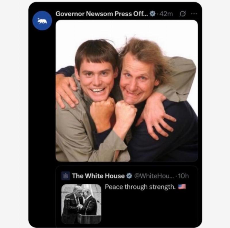 NextImg:Jackass: Newsom posts 'dumb and dumber' meme about Trump's peace triumph