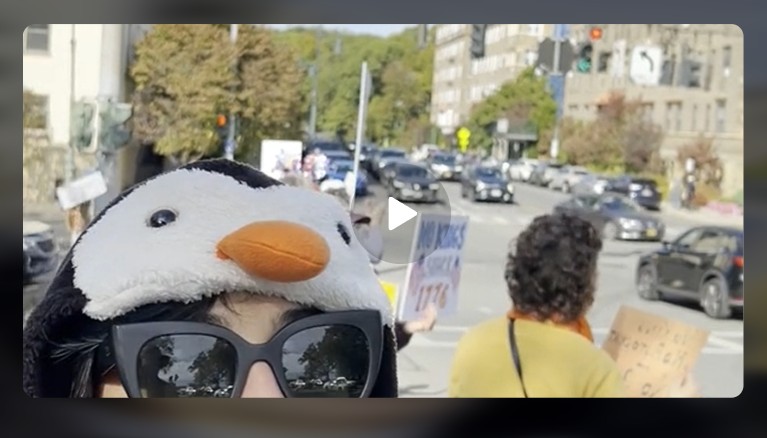 Video: Leftist lunacy I saw at a Saturday No Kings protest