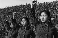 Children of the corn