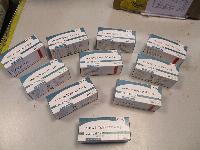 Ivermectin's Surprising Potential Against Cancer