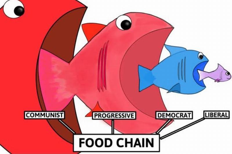 Main Image: Cartoon