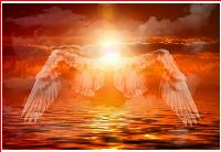 The pursuit of MAGA is heavenly
