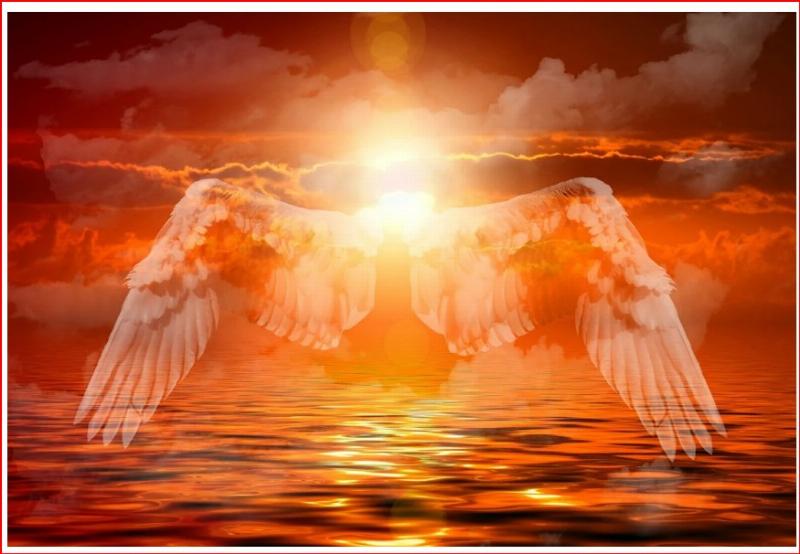 NextImg:The pursuit of MAGA is heavenly