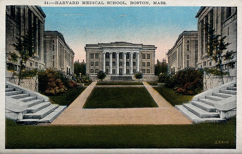 Bad Medicine For The Ivies