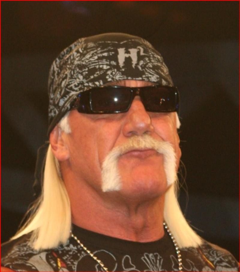 NextImg:Want to cancel Hulk Hogan? Fine, then Muhammad Ali’s got to go, too