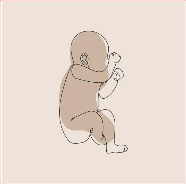 Fetus baby in the womb