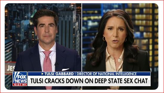 Director of National Intelligence Tulsi Gabbard fires 100 perverts spewing their droolings on government computers and time