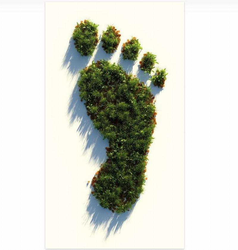 NextImg:Carbon offsets have always been just another global warming scam
