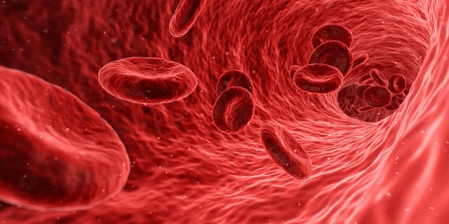 Why is the FDA Contaminating America’s Blood Supply?