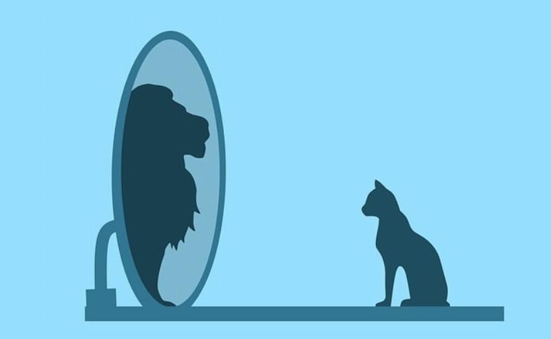 NextImg:Beware ‘interdisciplinary studies’ in academia