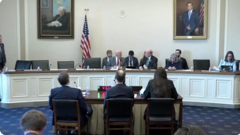 NextImg:A Democrat member of the House has a breakdown over biological reality