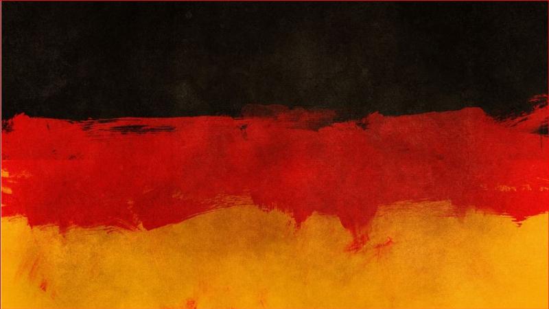 NextImg:Fresh after a first round of elections, Germany's ruling parties seek to ban their rising AfD conservative rivals