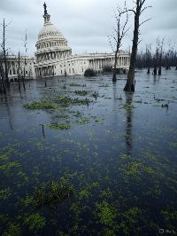 The wages of corruption in DC