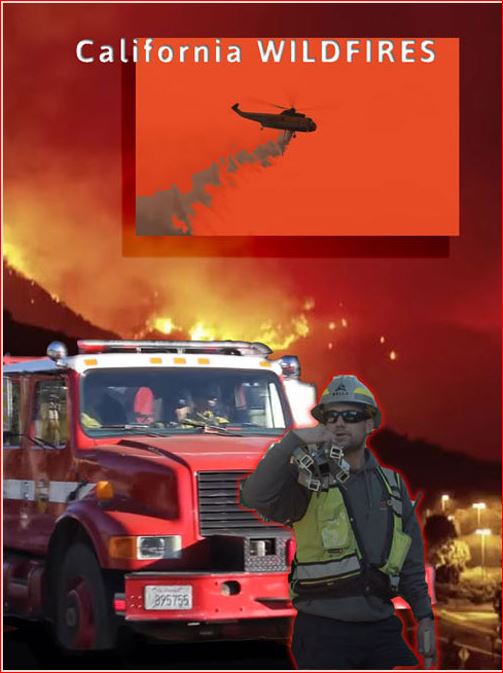 The Newsom/Bass Wildfires and the Allocation of Blame