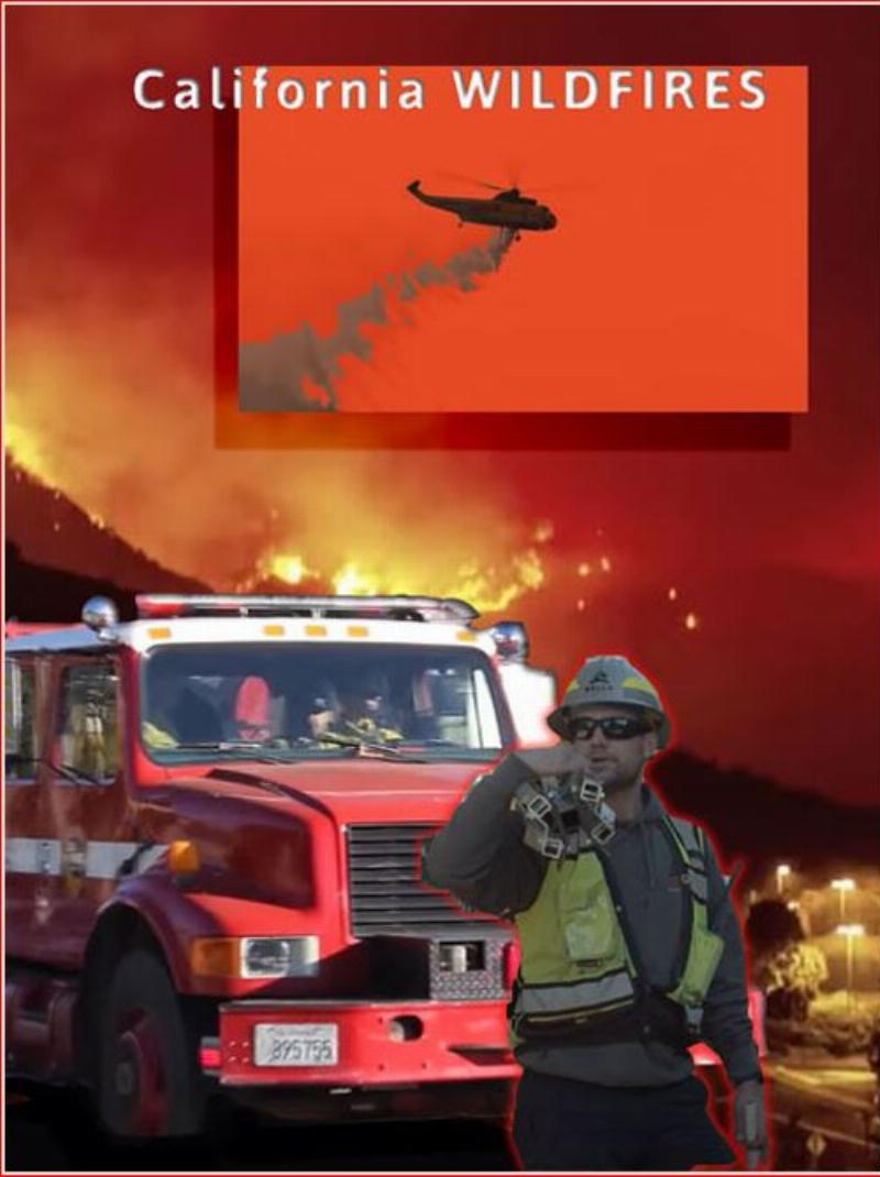 NextImg:The Newsom/Bass Wildfires and the Allocation of Blame