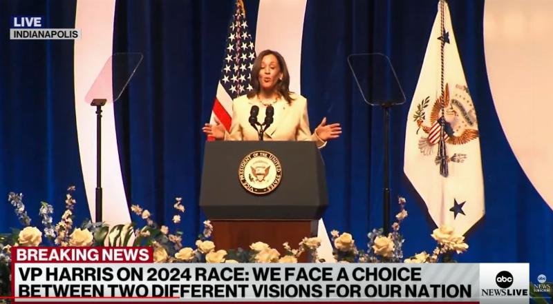 NextImg:Not ready for prime time: Kamala Harris chooses to give a sorority speech over meeting a head of state
