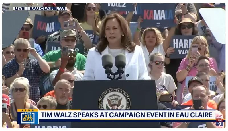 NextImg:Who are the folks who show up at a Kamala Harris rally?