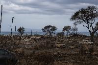 Americans Are Destroyed And Crippled By Red Tape