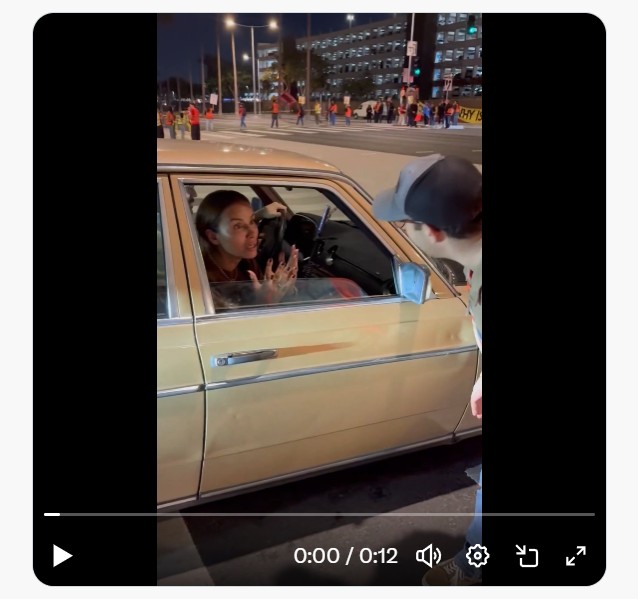 Thuggish union blocks Thanksgiving travelers trying to catch flights at LAX