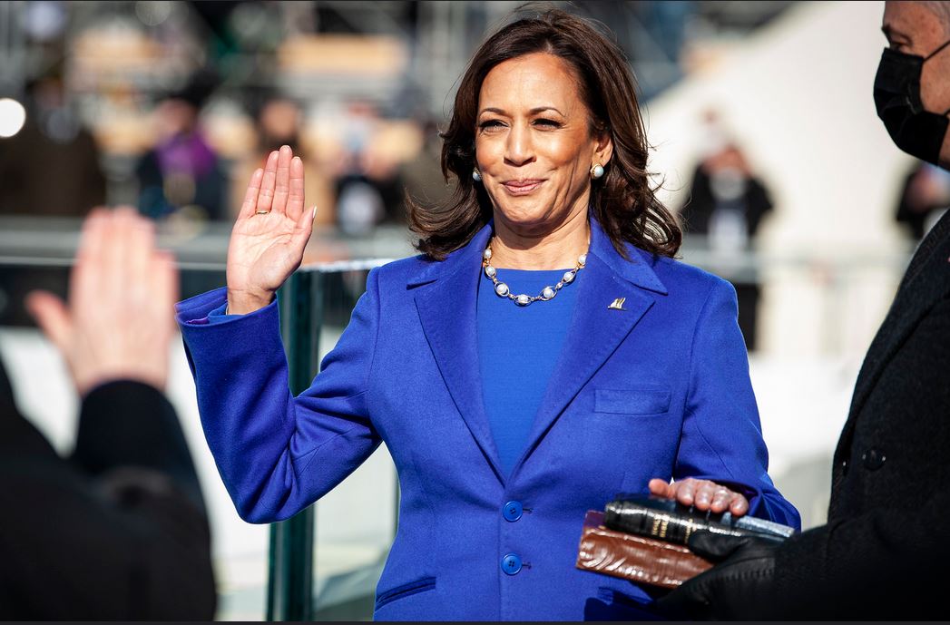 'F--- white women!' Harris ally told Zoom meeting full of leftists --report