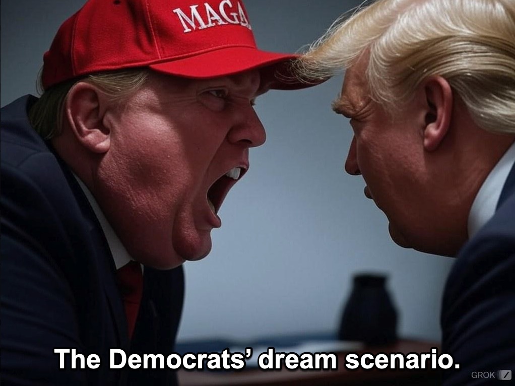 Do not take the Democrat MAGA civil war bait!