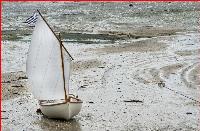 Republicans facing a blue wave in 2026?