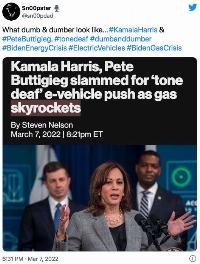 Kamala: electric school bus bust